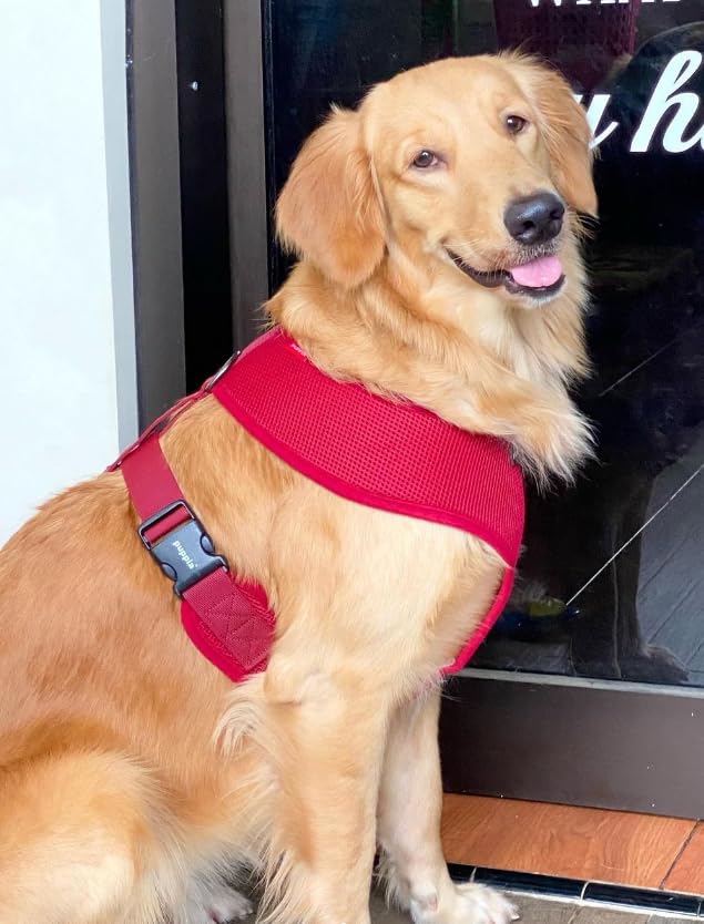 Soft Dog Harness (Wine / Small)