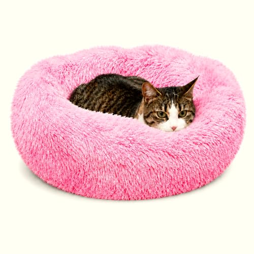 Cat Beds for Indoor Cats (Gradient Pink / 23.00" x 23.00" x 7.00")