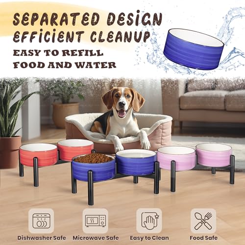 Ceramic Elevated Dog Bowl Set (Thread red / 3.5 Cups)