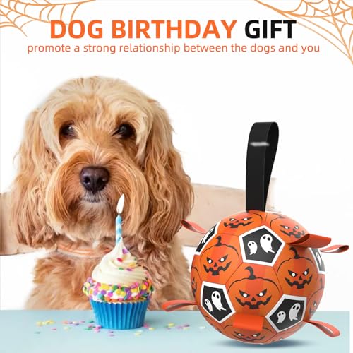 Halloween Dog Toys (7 Inch / Halloween)