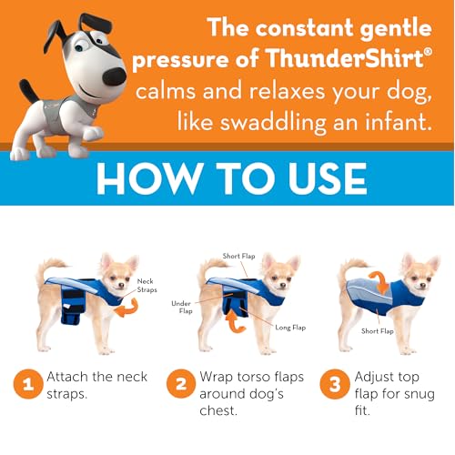 Breeze for Dogs Calming Anxiety Vest (Aqua / Large)