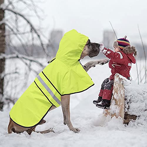 Waterproof Raincoats for Dogs (Neon Green / Large)