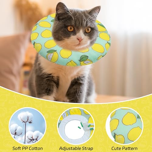 Cat Cone Collar Soft (Green Lemon / Large)