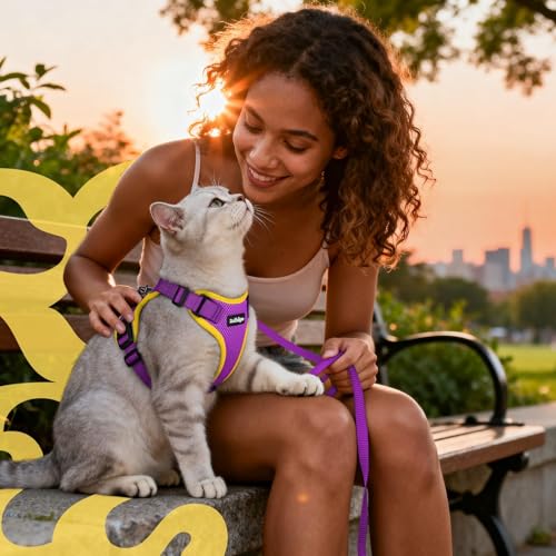Cat Harness and Leash Set (Xs / Purple & Yellow)