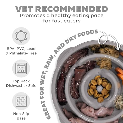 Fun Feeder Slo Bowl Dog Slow Feeder (Gray / Medium)