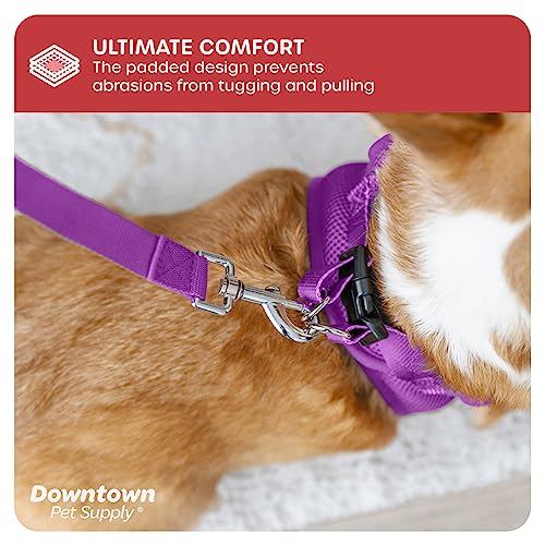 Step in Dog Harness (X-Small / Purple)
