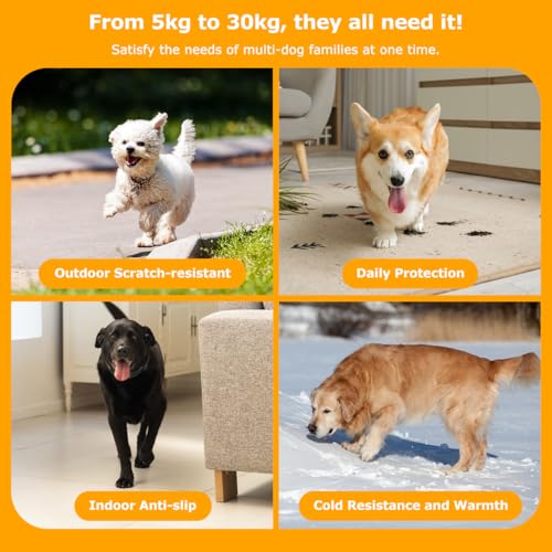 12 Pack Dog Socks for Hardwood Floors (Grey / Medium (12 Count))