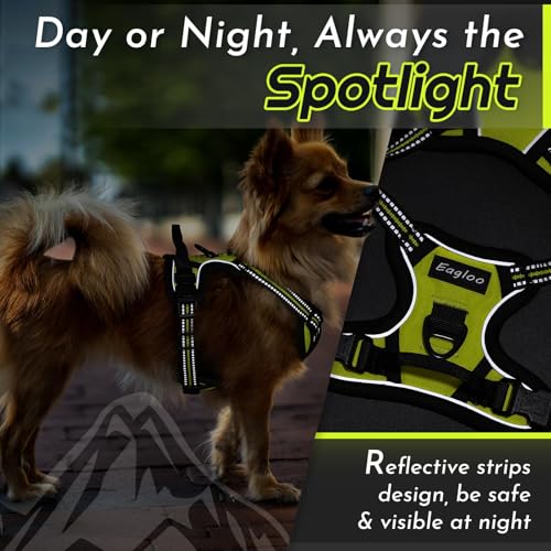Dog Harness for Small Dogs (X-Small / Green)