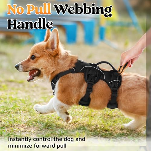 Escape Proof Dog Harness for Small (Black / Small)