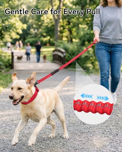 Tactical Bungee Dog Leash (Red)