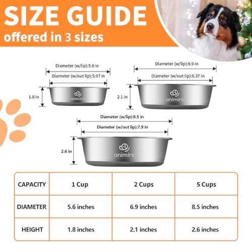 2-in-1 Metal Dog Bowl with Slow Feeder Insert, Stainless Steel Dog Bowls Food Grade 304, Water Food Bowl with Anti-Slip Silicone Base for Small, Medium, Large Dogs (5 Cups / Grey)