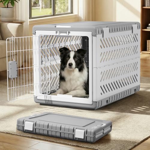 Collapsible Dog Crate for Large (Grey / 36.4"L x 22.8"W x 25.8"H)
