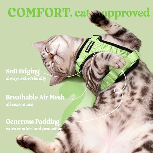 Cat Harness and Leash Set (M / Light Green)