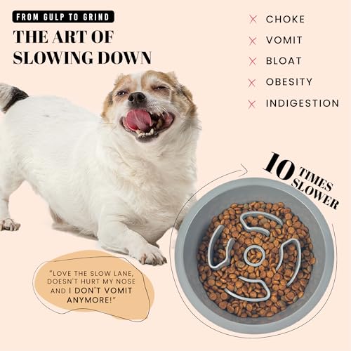 Slow Feeder Dog Bowls for Medium Breeds Fits Raised Feeding Station (Slow Feeder Grey / 1.5 Cup - Fit 6.4-6.7'' Feeder Holes)