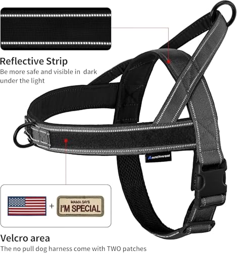 No Pull Dog Harness with Padded Handle+5 Ft Leash (XL / Black Set)