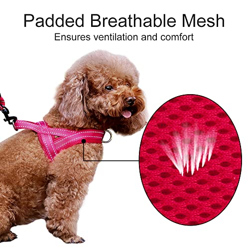 No Pull Dog Harness for Large Dogs (XL: chest 29.5"-39.4" / Pink)