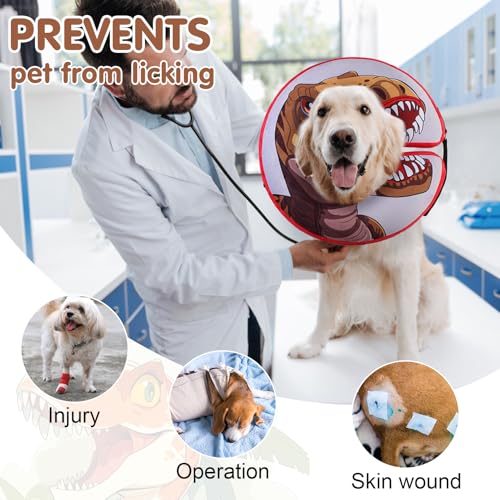 Dog Cone Collar Alternative After Surgery (Dinosaur / L(Neck:16"-18"))