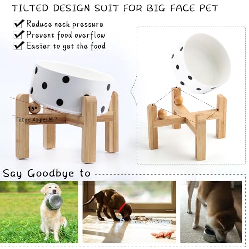 Elevated Raised 15°Slanted Ceramic Dog Bowl for Small and Medium Breeds (Black Dot / 3.6 CUPS - Medium Dog Bowls)