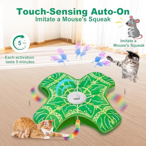 Interactive Cat Toys for Indoor Cats (Green Cover Cloth Toy)