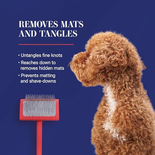 Baby G Dog Slicker Brush for Dogs (Small / Coral)