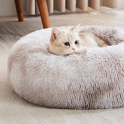 Western Home Calming Donut Cat Bed Small Dog Bed Washable (White Grey / 20.0"l x 20.0"w x 6.0"th)