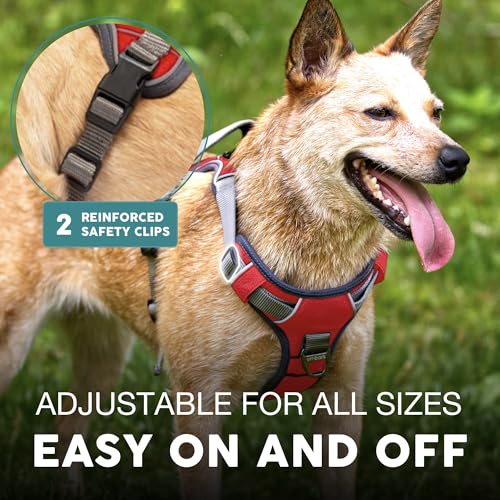 Embark No Pull Dog Harness (XS / Red)