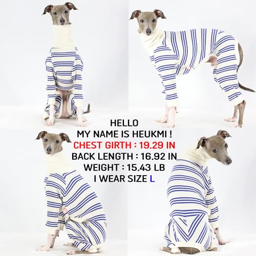 D Doggy Star Italian Greyhound Clothes Soft Stretchy Onesie Refined Stripe Outfit Whippet for Dog Coat (XL / Onesie Blue Stripe)