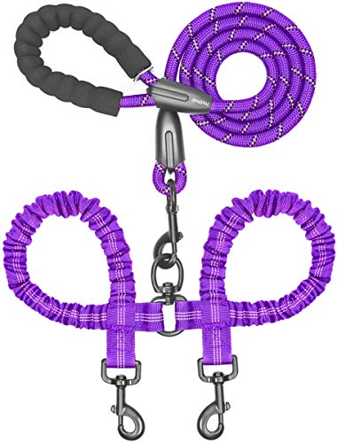 Double Dog Leash (Purple / Large)