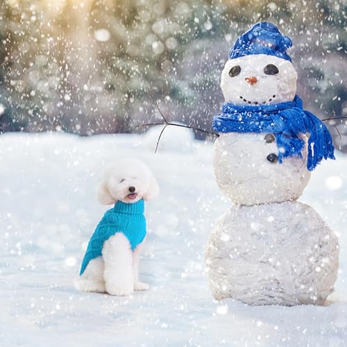 Dog Sweater for Small Dogs (SkyBlue / X-Small)