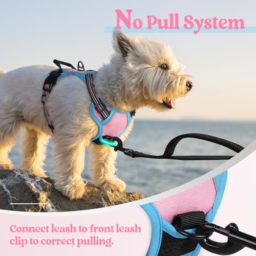 Dog Harness No Pull for Small Dogs with 2 Leash Clips (X-Small / Pink & Blue)