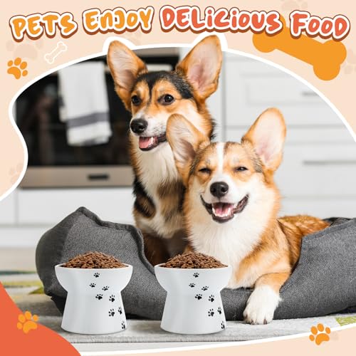 2 Pack Elevated Dog Bowls for Small Dogs and Cats