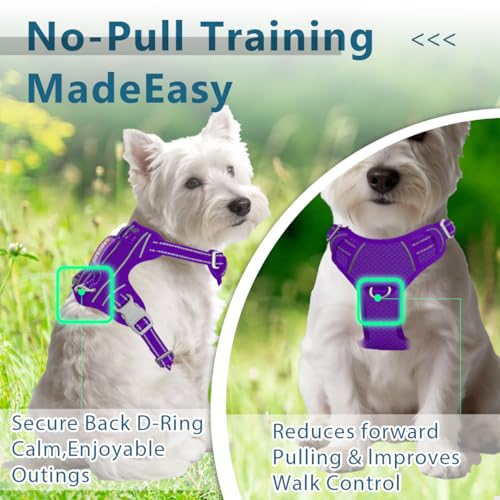 No Pull Dog Harness for Small Sized Dogs (Small(Chest:19.5-26”) / Purple)