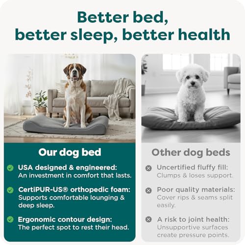 Orthopedic Dog Bed for Large Dogs (Giant/XXXL / Gray)