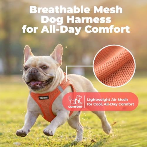 Voyager Step in Air Dog Vest Harness (Orange / L (Chest: 18 - 20.5"))