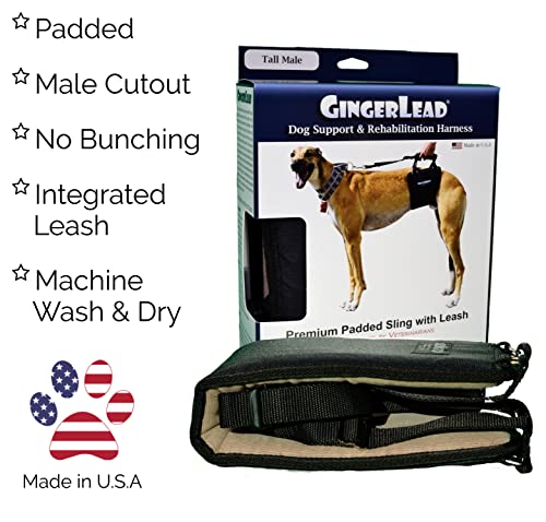 K9 Support Harness (Tall - Male)