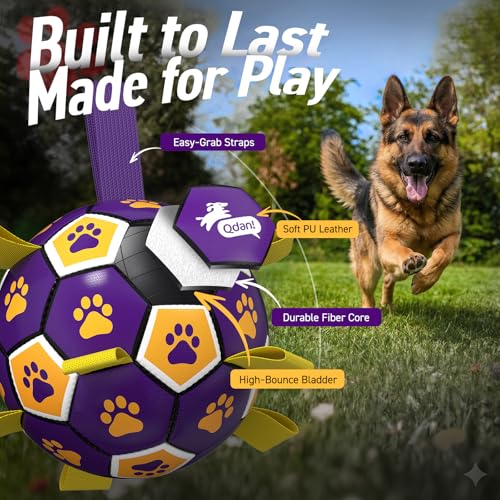 Extra Large Dog Toy Soccer Ball (Purple Yellow / 9 Inch)