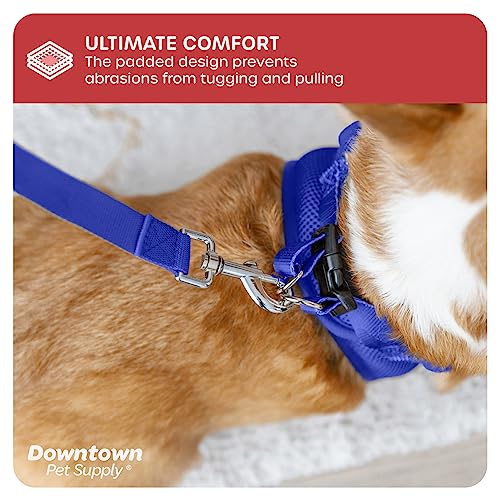 Step in Dog Harness for Small Dogs No Pull (X-Small / Blue)