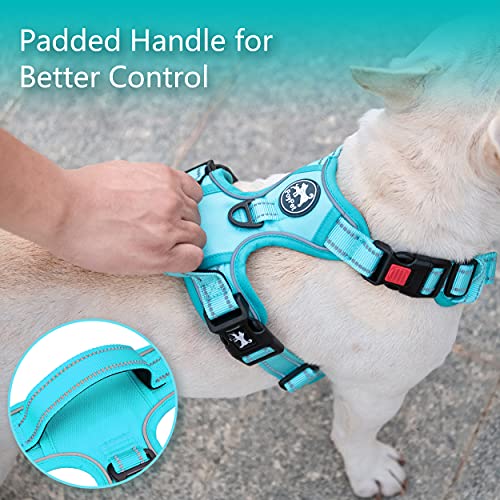 No Pull Dog Harness (S / Mint Blue(Matching Trim))
