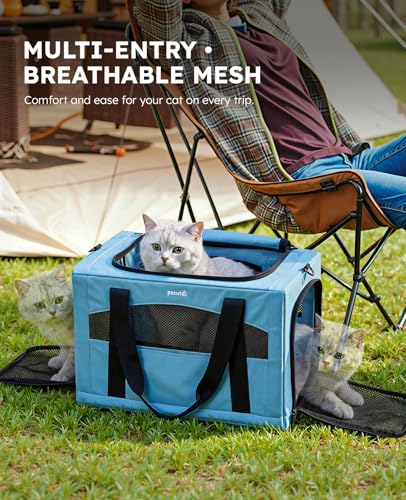 Cat Carrier Stable (Light Blue / 16.9"L x 11.0"W x 11.0"H)
