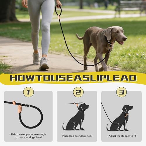 Heavy Duty Slip Lead No Pull Leash 6 (Black / 6 Feet)