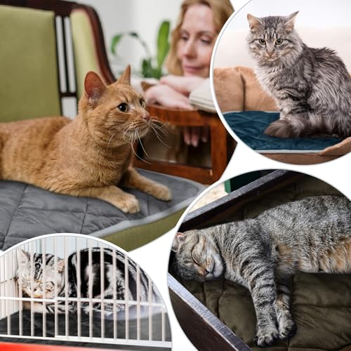 4 Pack Self Heating Cat Pad Self Warming Dog Mat Reflects Body Heat Extra Warm Thermal Pet Pad Washable Dog Cat Bed Crate Bed Mat Blanket (16 x 20 Inch / Mixing Colors)