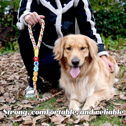 5FT Braided Cotton Rope Leash for Small (Sunny Garden)