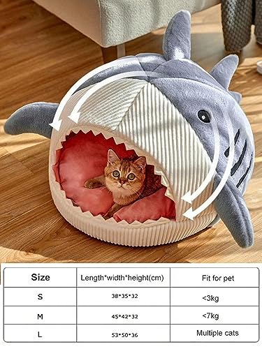 Cat Mat Shark (Medium / Blue)
