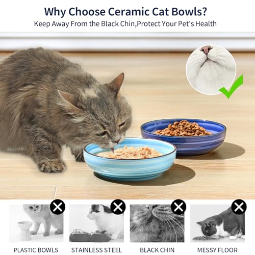 Ceramic Cat Bowls Set of 6 (5.6 Inch, Set of 6 / Gradient Blue)