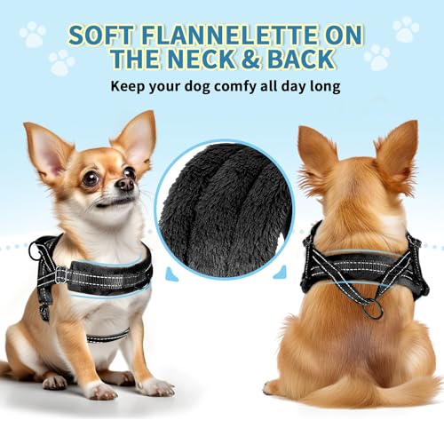 No Pull Small Dog Harness and Leash Set with Front Clip (X-Small / Black)