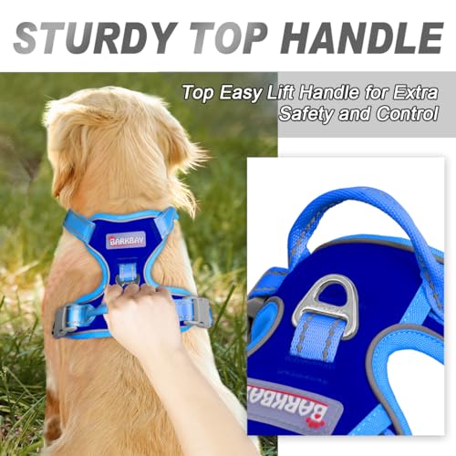 Dog Harness No Pull for Large Dogs Front Back Clips (Large(Chest:24.5-32.5") / Sapphire Blue & Blue)