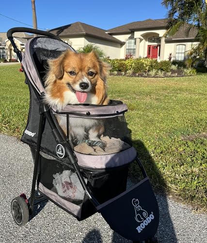 Escort 3 Wheel Dog Cat Pet Stroller for Small (Grey / 33x37 Inch (Pack of 1))