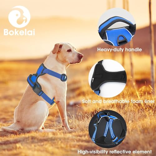 No Pull Dog Harness for Large Dog with Leash (Blue / L)