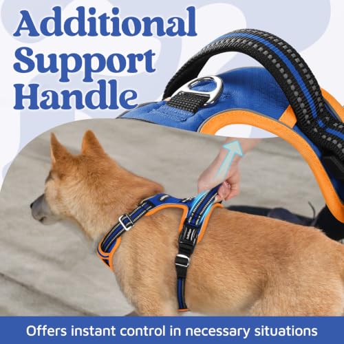 Dog Harness Small Sized (Royal Blue & Orange / Small)
