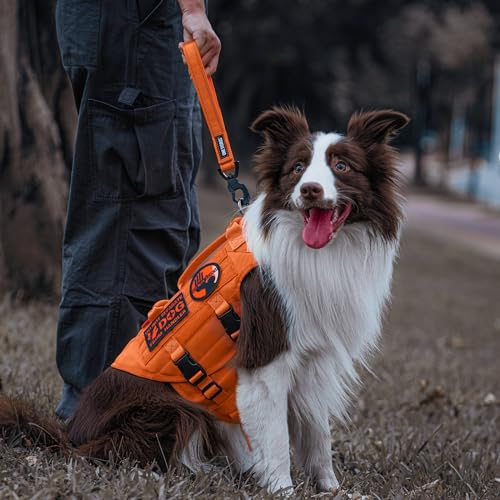 Short Traffic Dog Leash for Small Medium Large Dogs (S / Orange)